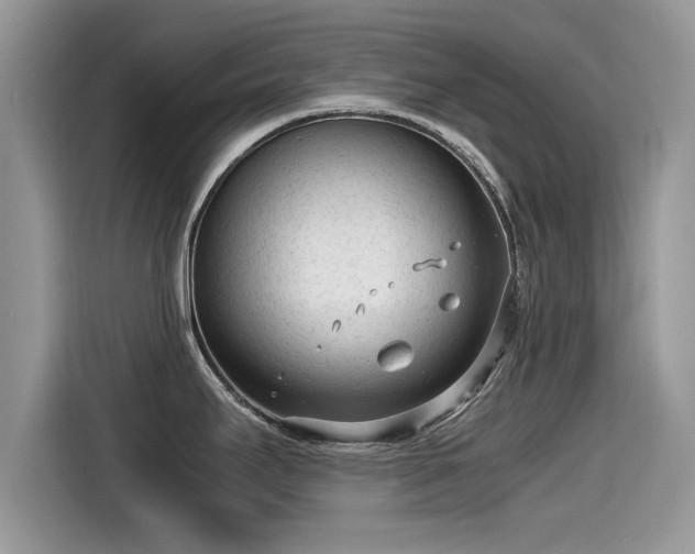 X0000115541295200911131536