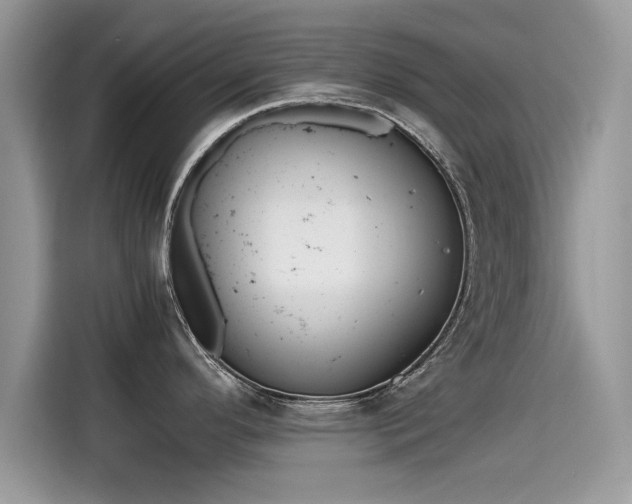 X0000115541296200911131536