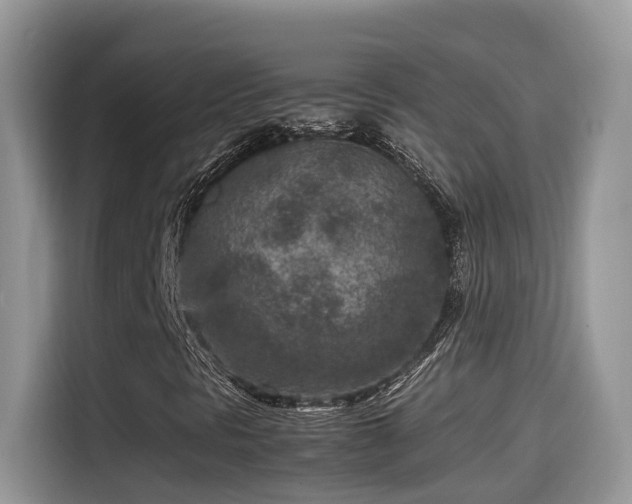 X0000115541297200911131536