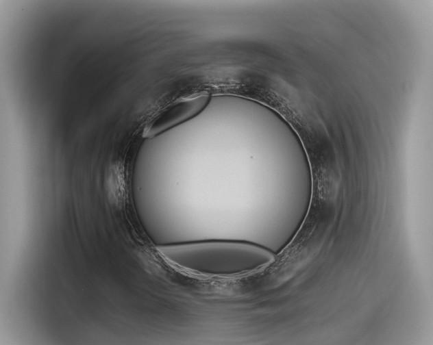 X0000115541298200911131536