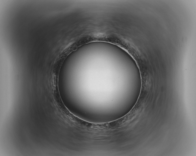 X0000115541301200911131536