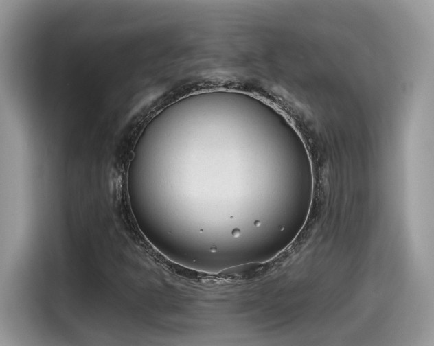 X0000115541302200911131536