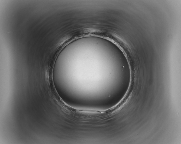 X0000115541305200911131536