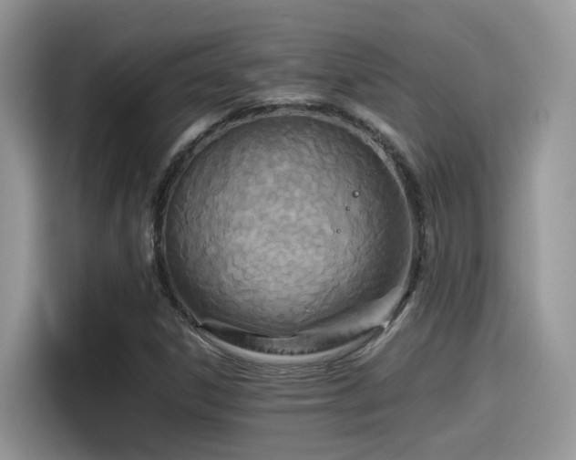 X0000115541306200911131536