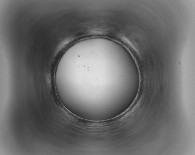 X0000115541307200911131536