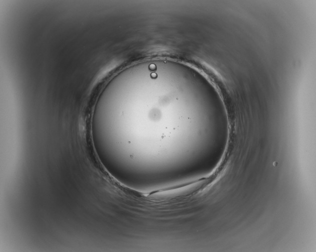 X0000115541309200911131536