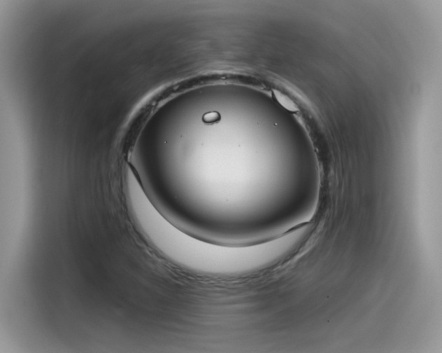 X0000115541310200911131536