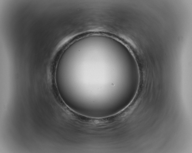 X0000115541311200911131536