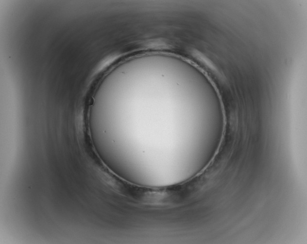 X0000115541315200911131536