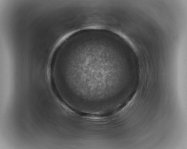 X0000115541319200911131536