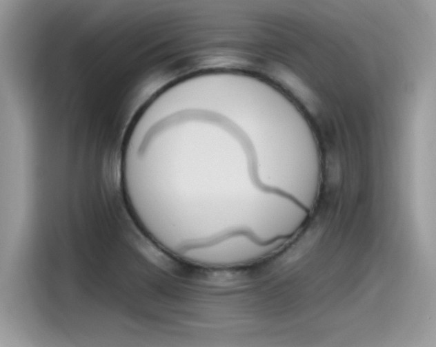 X0000115541322200911131536