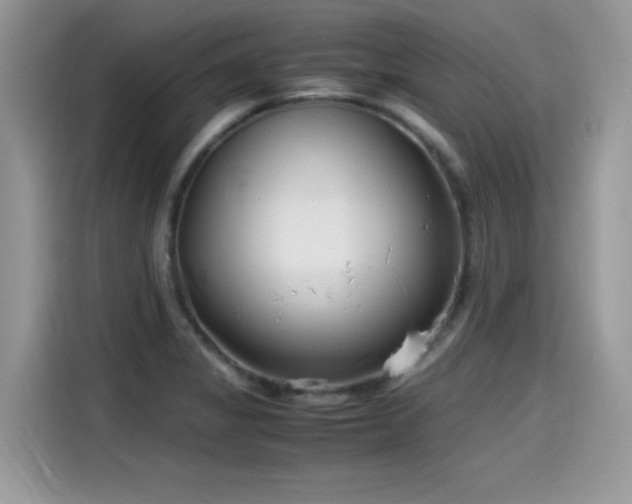 X0000115541325200911131536