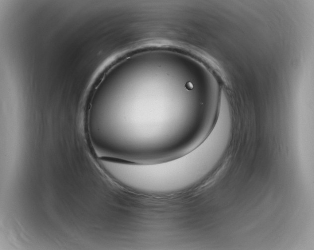 X0000115541326200911131536