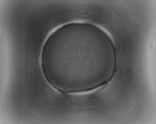 X0000115541327200911131536