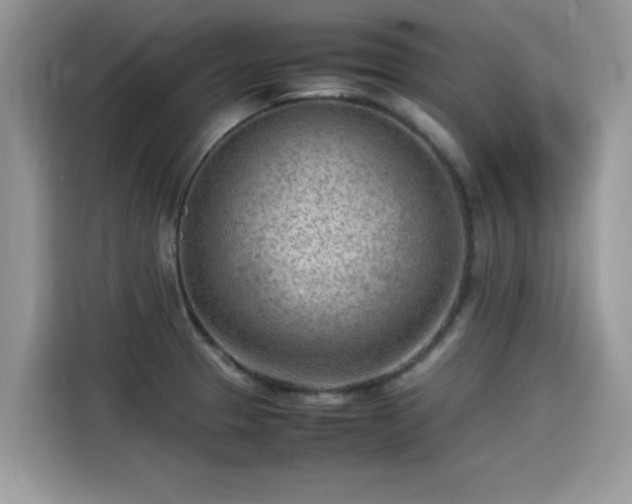 X0000115541329200911131536