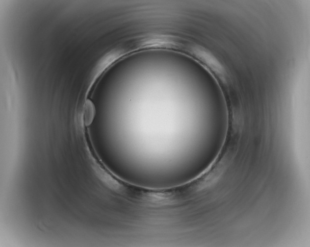 X0000115541330200911131536