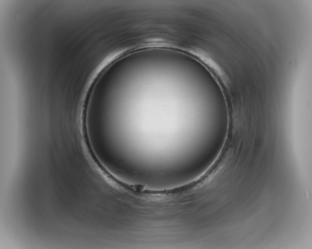 X0000115541333200911131536