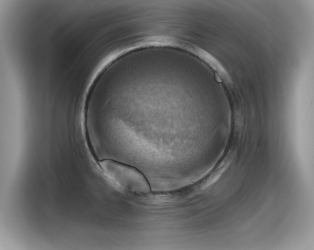 X0000115541334200911131536