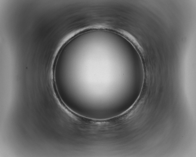 X0000115541335200911131536