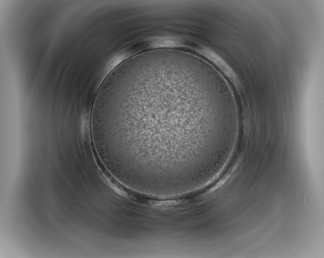 X0000115541337200911131536