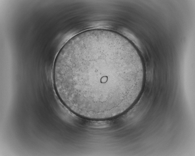 X0000115541338200911131536