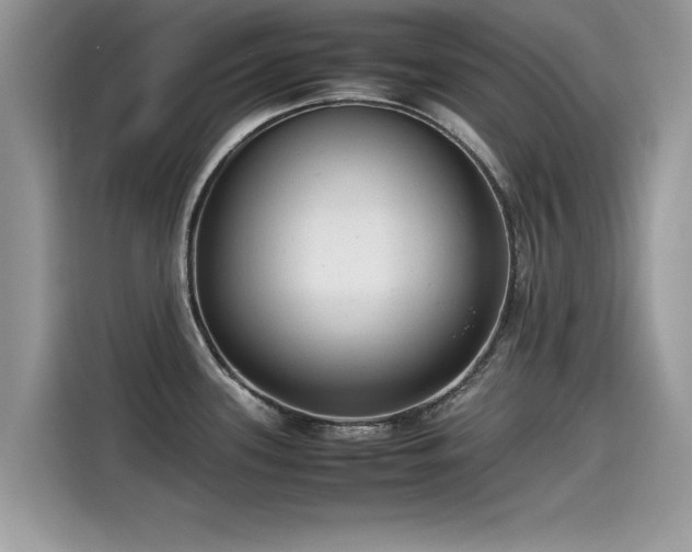 X0000115541339200911131536