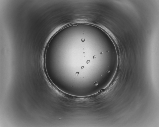 X0000115541341200911131536