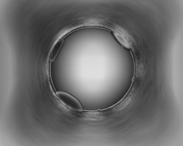 X0000115541342200911131536