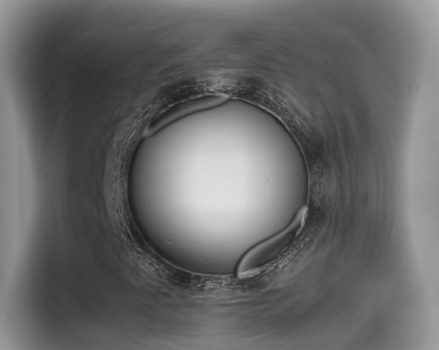 X0000115541345200911131536