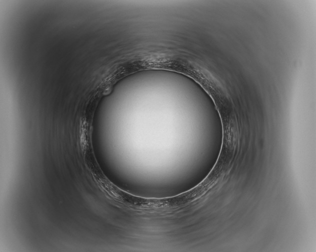 X0000115541346200911131536