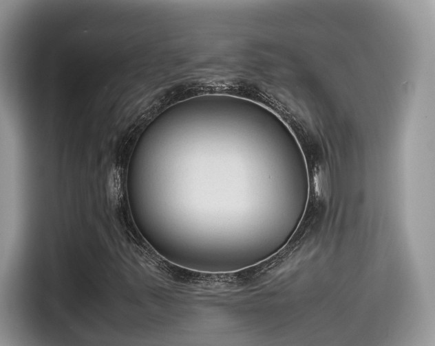 X0000115541347200911131536