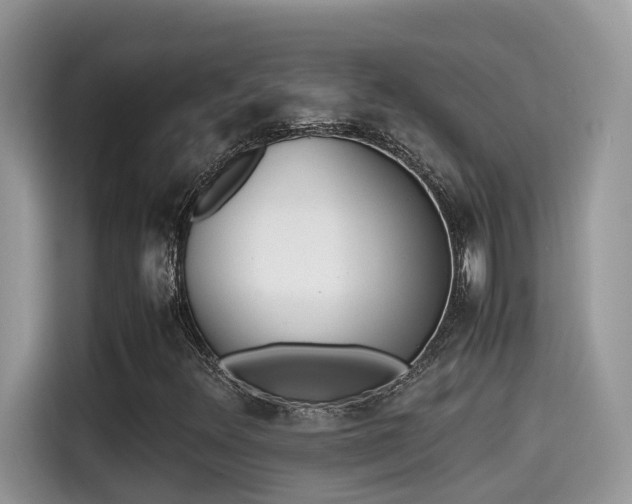 X0000115541348200911131536