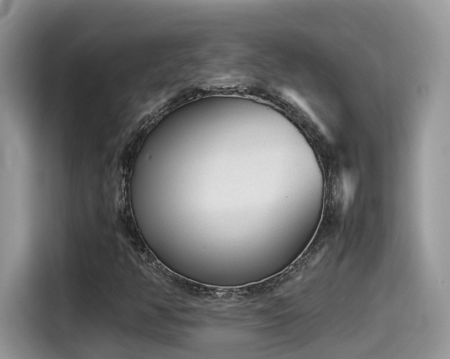 X0000115541350200911131536