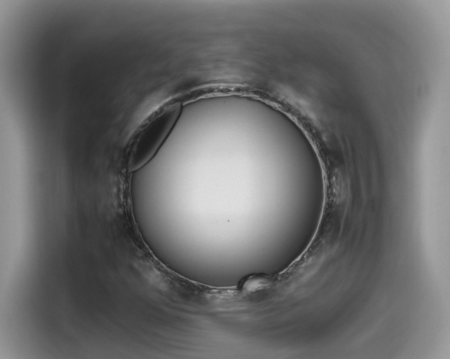 X0000115541352200911131536