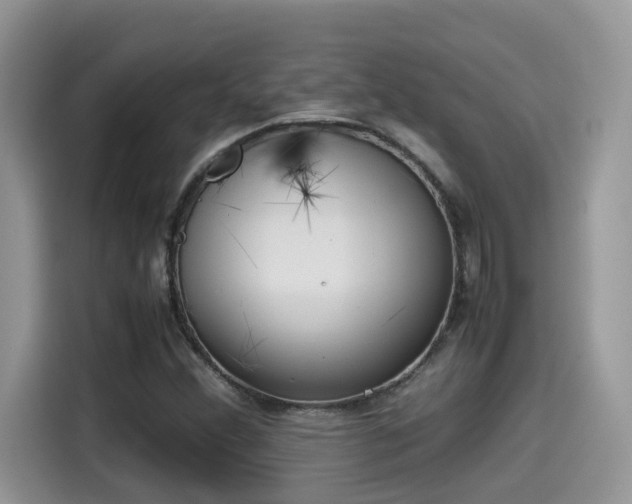 X0000115541356200911131536