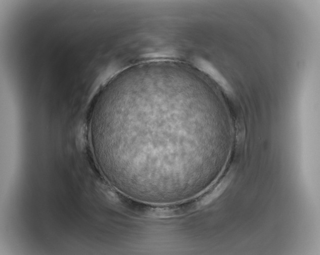 X0000115541357200911131536