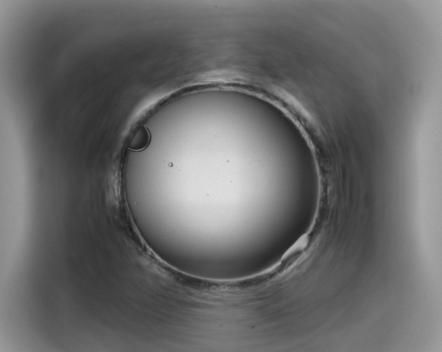 X0000115541358200911131536