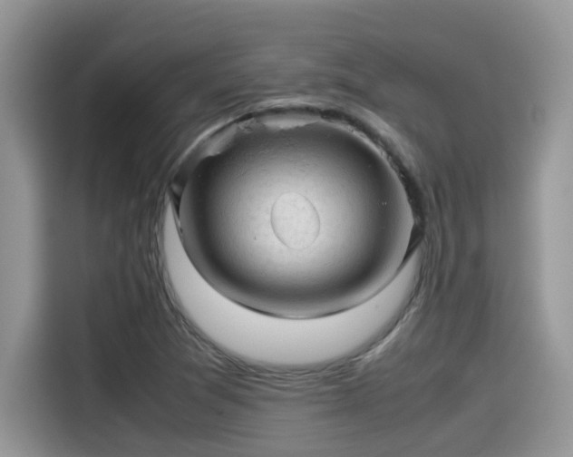 X0000115541361200911131536