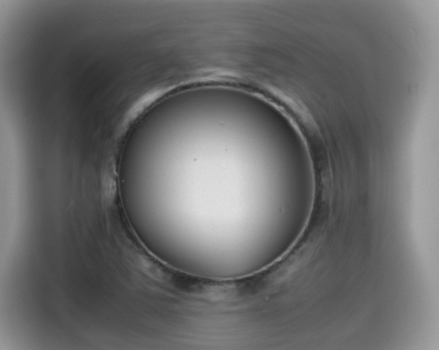 X0000115541363200911131536