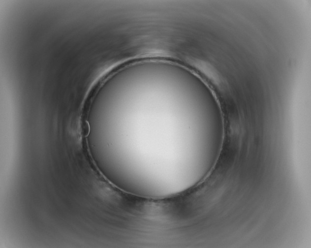 X0000115541364200911131536