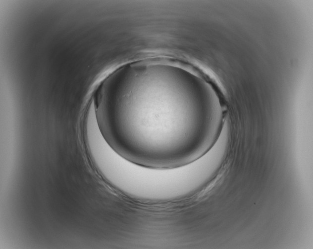 X0000115541365200911131536