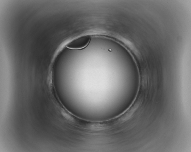 X0000115541366200911131536