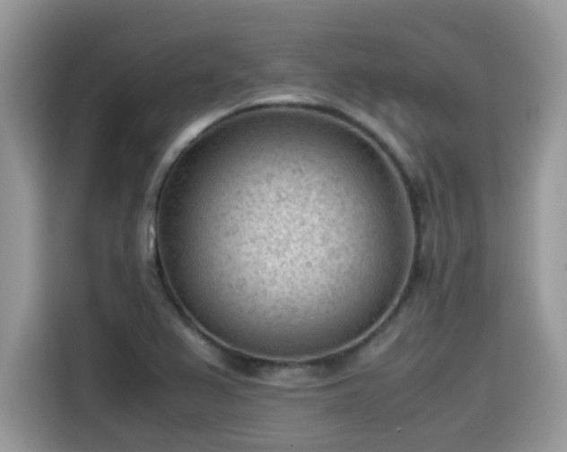 X0000115541367200911131536