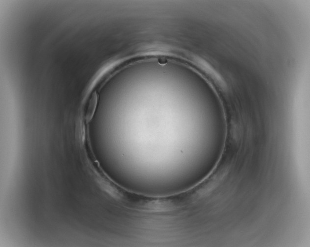 X0000115541368200911131535