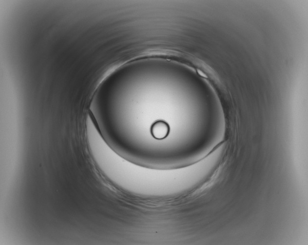 X0000115541369200911131535