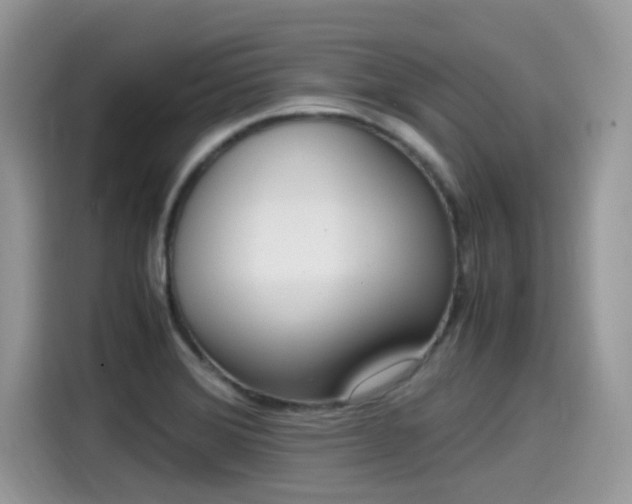 X0000115541372200911131535