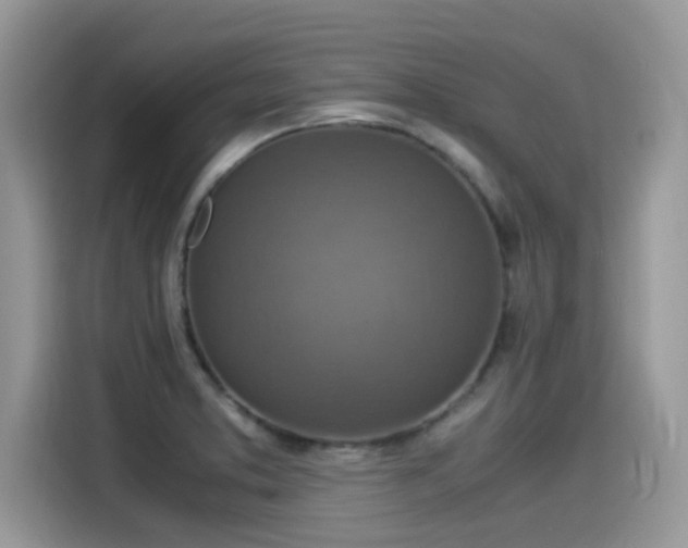 X0000115541373200911131535