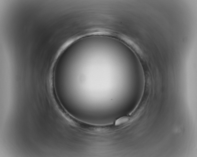 X0000115541375200911131535