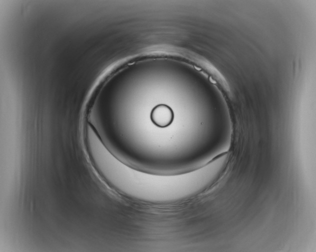 X0000115541376200911131535