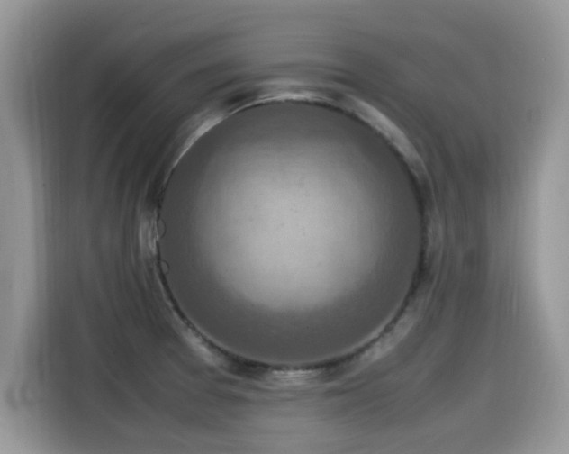 X0000115541377200911131535